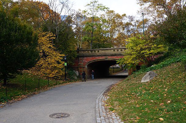 Bridge Central park