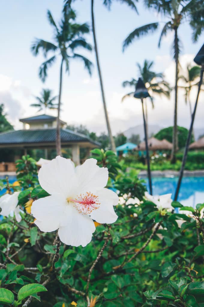 A look at the luxury St. Regis Princeville Hotel, a great option for staying on Kauai's North Shore.